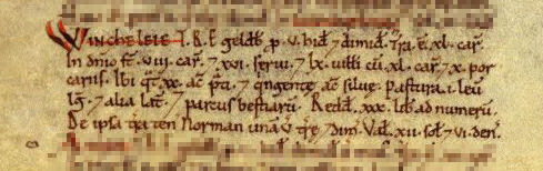 WINKLEIGH'S DOMESDAY BOOK ENTRY